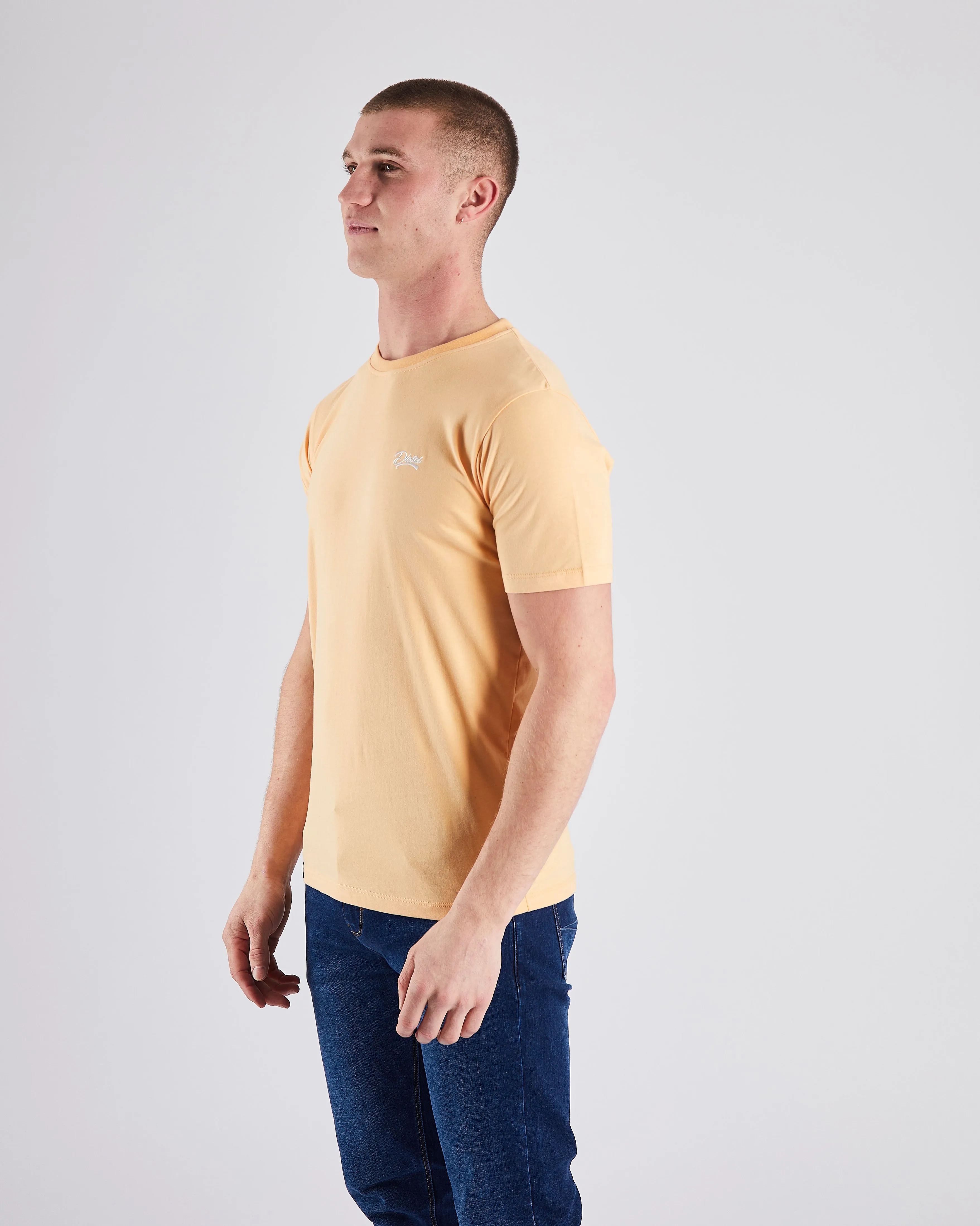 Basic Caden O Neck Tee Melon Drop